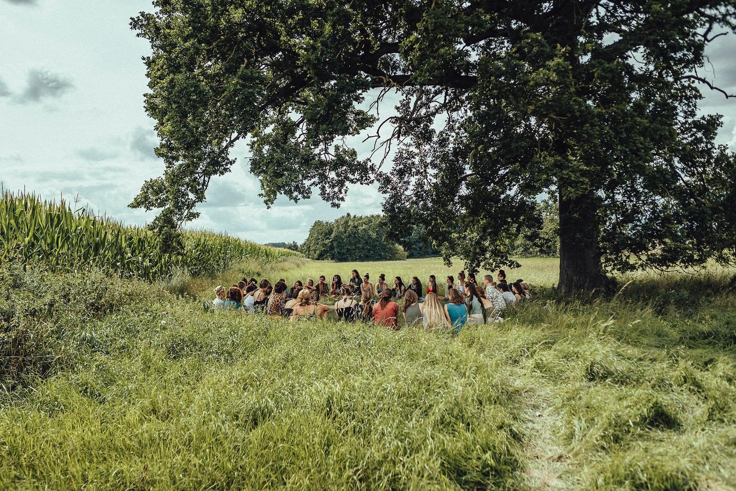Workshop Spiel mit Nähe - Gruppe auf Wiese